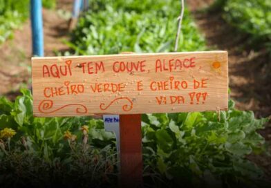 Cultivando do Jardim Florence