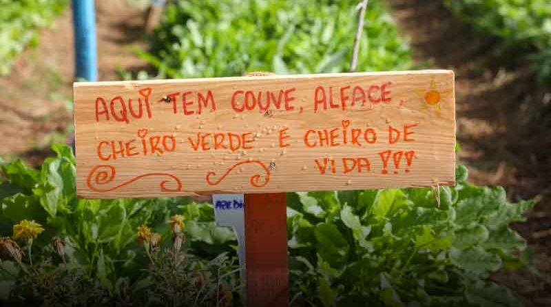 Cultivando do Jardim Florence