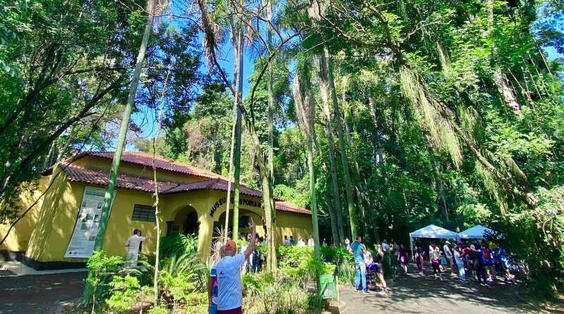 Bosque dos Jequitibás