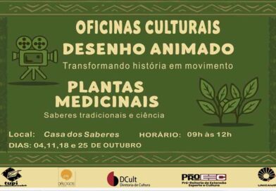 oficina de desenho animado